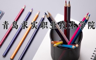 青岛求实职业技术学院一年学费多少钱及各专业的收费标准(2025参考）