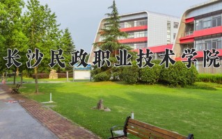 2025年长沙民政职业技术学院在新疆计划招生人数（附学费及专业录取分)