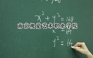 2024南京视觉艺术职业学院录取分数线：江苏最低234分