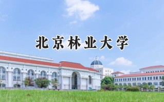 北京林业大学2024在新疆录取分数线是多少？最低465分/最高519分
