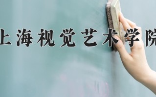 2025年上海视觉艺术学院在四川计划招生人数（附学费及专业录取分)