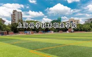 2024上海科学技术职业学院录取分数线：陕西最低377分