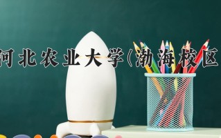 2025年河北农业大学(渤海校区)在河北计划招生人数（附学费及专业录取分)