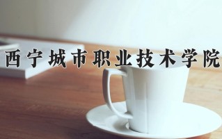 西宁城市职业技术学院一年学费多少钱及各专业的收费标准(2025参考）