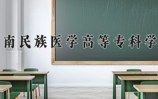 2024年黔南民族医学高等专科学校录取分数线，内蒙古最低239分