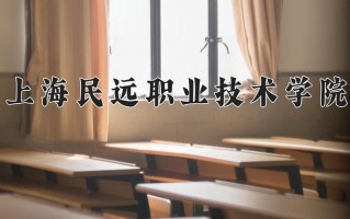 2025年上海民远职业技术学院在河南计划招生人数（附学费及专业录取分)
