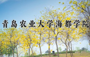 青岛农业大学海都学院一年学费多少钱及各专业的收费标准(2025参考）