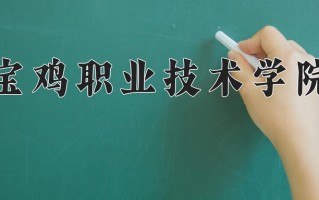 2025年宝鸡职业技术学院在河南计划招生人数（附学费及专业录取分)