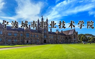 2024年宁波城市职业技术学院招生章程，附办学层次和录取规则