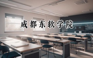 成都东软学院2024在上海录取分数线是多少？最低408分/最高415分