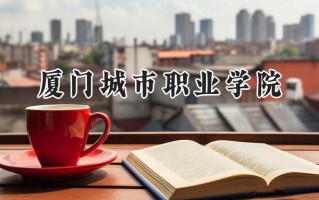 厦门城市职业学院2024在山东录取分数线是多少？最低411分/最高448分