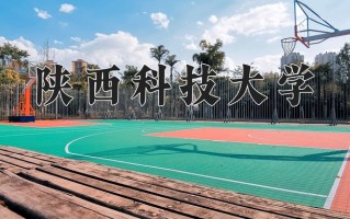 2025年陕西科技大学在河南计划招生人数（附学费及专业录取分)
