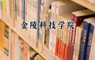 2024金陵科技学院录取分数线：河南最低454分
