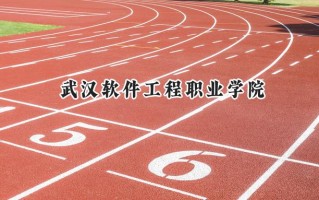 武汉软件工程职业学院2024在浙江录取分数线是多少？最低466分/最高543分