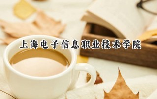 2024上海电子信息职业技术学院录取分数线：山西最低359分