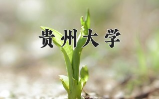 贵州大学全国排名及2024年最低录取分数线