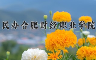 民办合肥财经职业学院学费多少钱一年：9600-14900元/年（2025填报参考）