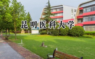 2024昆明医科大学录取分数线：山西最低469分