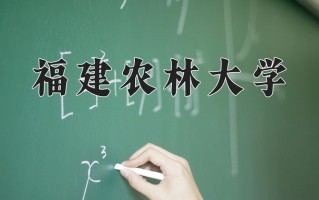 云南558分能上什么大学？附2025年可以报考的大学名单