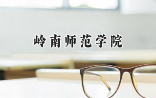岭南师范学院2024在浙江录取分数线是多少？最低498分/最高540分