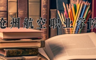 辽宁考生多少分能上沧州航空职业学院？2025最低316分