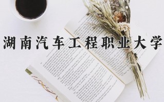 2025年湖南汽车工程职业大学在四川计划招生人数（附学费及专业录取分)