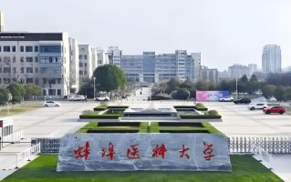 蚌埠医科大学2024年各学科排名一览表！附教育部评级比例