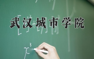 2024武汉城市学院录取分数线：浙江最低472分