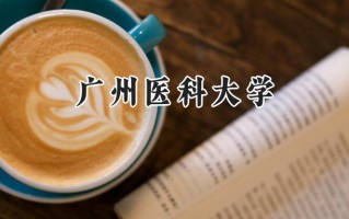 广州医科大学2024在上海录取分数线是多少？最低539分/最高545分