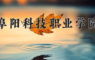 2025年阜阳科技职业学院在四川计划招生人数（附学费及专业录取分)