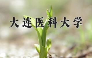 大连医科大学一年学费多少钱及各专业的收费标准(2025参考）