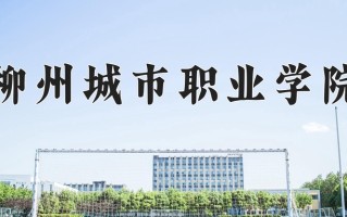 柳州城市职业学院一年学费多少钱及各专业的收费标准(2025参考）