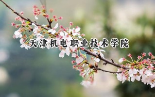 2024天津机电职业技术学院录取分数线：山西最低356分