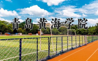 2025年青岛黄海学院在河南计划招生人数（附学费及专业录取分)