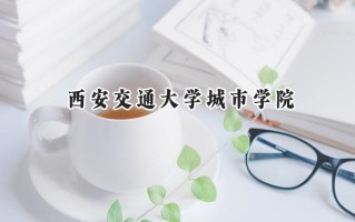 2024西安交通大学城市学院录取分数线：陕西最低430分