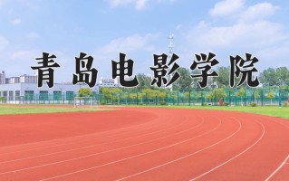 2024年青岛电影学院招生章程，附办学层次和录取规则