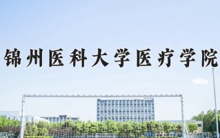 2024年锦州医科大学医疗学院招生章程，附办学层次和录取规则