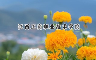 2024江西工商职业技术学院录取分数线：宁夏最低284分