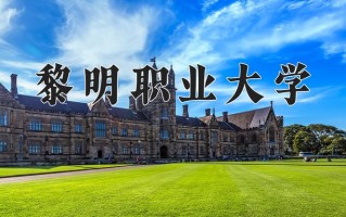 2025年黎明职业大学在河南计划招生人数（附学费及专业录取分)