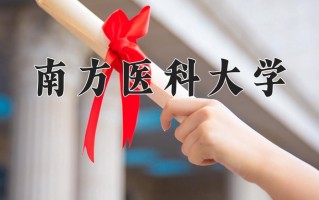 云南606分能上什么大学？附2025年可以报考的大学名单