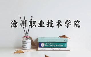 沧州职业技术学院2024在山东录取分数线是多少？最低387分/最高392分