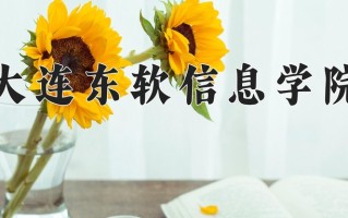 2024年大连东软信息学院招生章程，附办学层次和录取规则