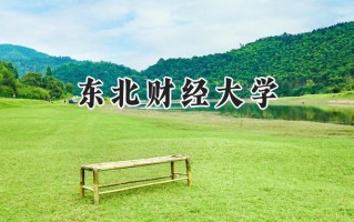 东北财经大学2024在上海录取分数线是多少？最低518分/最高529分