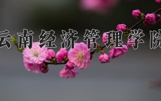 云南经济管理学院一年学费多少钱及各专业的收费标准(2025参考）