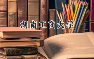 湖南工商大学2024在青海录取分数线是多少？最低375分/最高460分