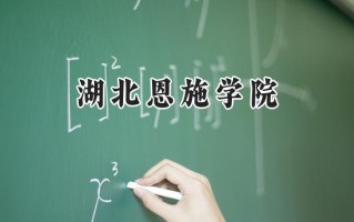 湖北恩施学院2024在山东录取分数线是多少？最低217分/最高490分