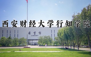 2025年西安财经大学行知学院在河南计划招生人数（附学费及专业录取分)