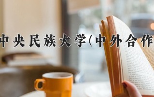 2025年中央民族大学(中外合作)在重庆计划招生人数（附学费及专业录取分)