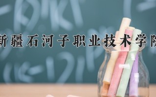2025年新疆石河子职业技术学院在四川计划招生人数（附学费及专业录取分)