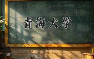 2025年青海大学学科排名（全国第四轮评估结果)
